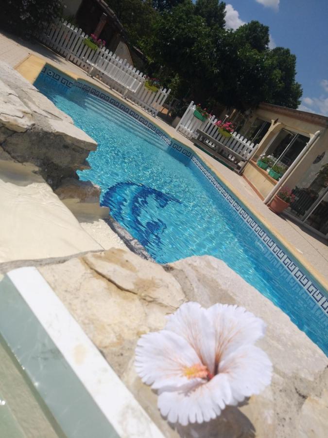 Gite T2 Avec Grande Piscine Apartment Villeneuve-la-Comptal Luaran gambar
